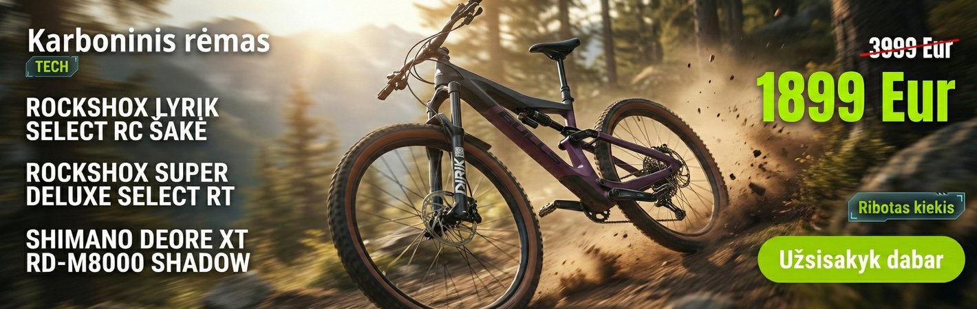 Dviratis 29" Bulls Wild Creed RS 12g vyr. karboninis 