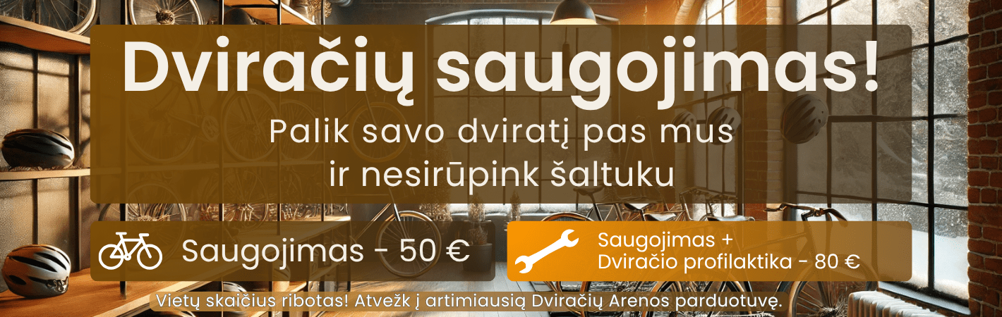 Dviračio Pasaugojimas