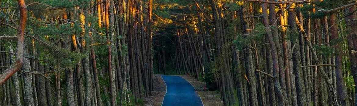 Dviračių takai Lietuvoje: gražiausi maršrutai, žemėlapis ir praktiniai patarimai