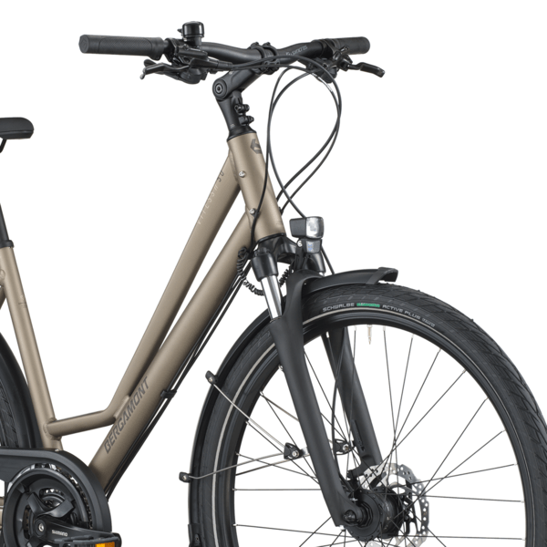 Dviratis 28  BERGAMONT VITESS 50 AMSTERDAM silver bergamont