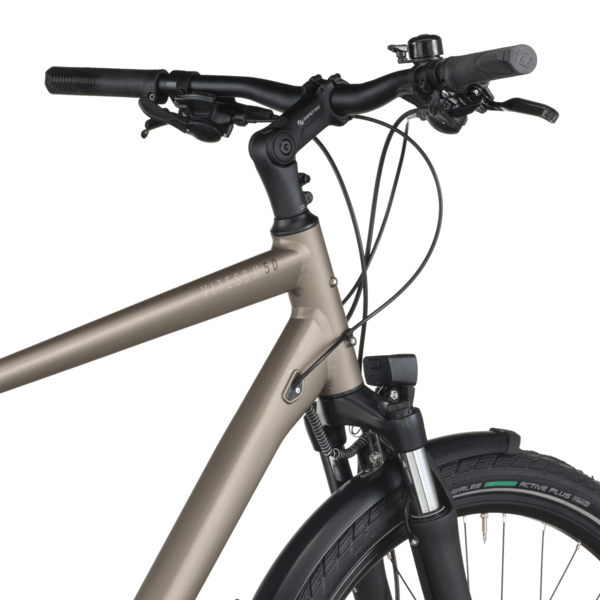 Dviratis 28  BERGAMONT VITESS 50 AMSTERDAM silver bergamont