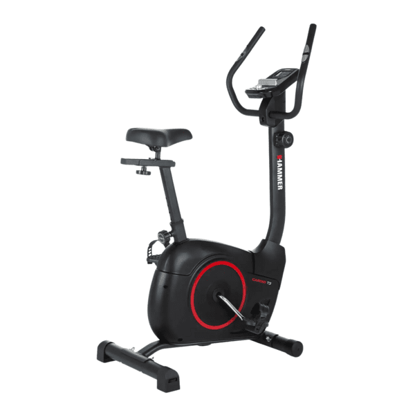 Dviratis treniruoklis HAMMER Cardio T3