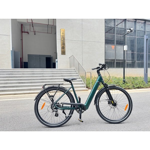 Elektrinis dviratis 28" Luna Neo Chain žalias