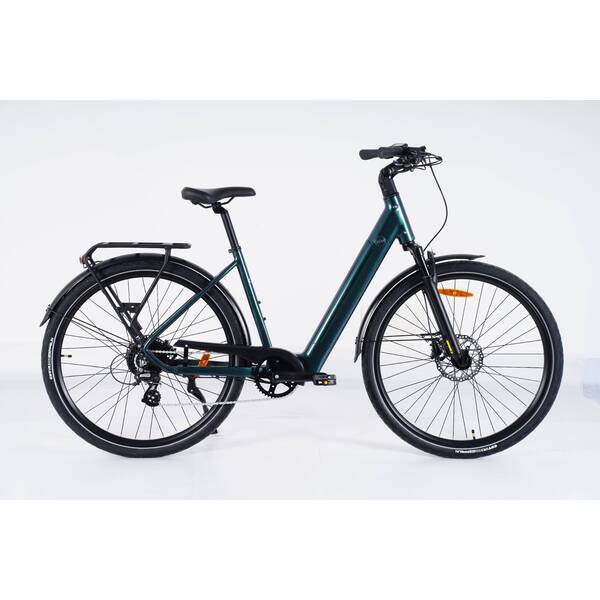 Elektrinis dviratis 28" Luna Neo Chain žalias