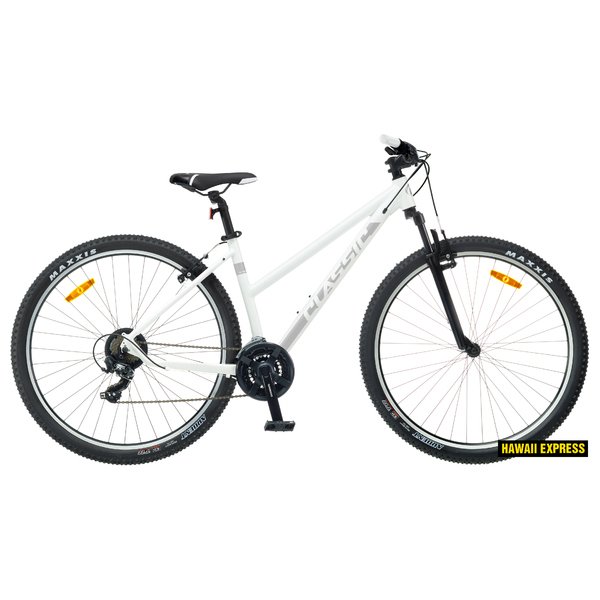 Dviratis 29  CLASSIC TEAM LADY 29 29  white classic