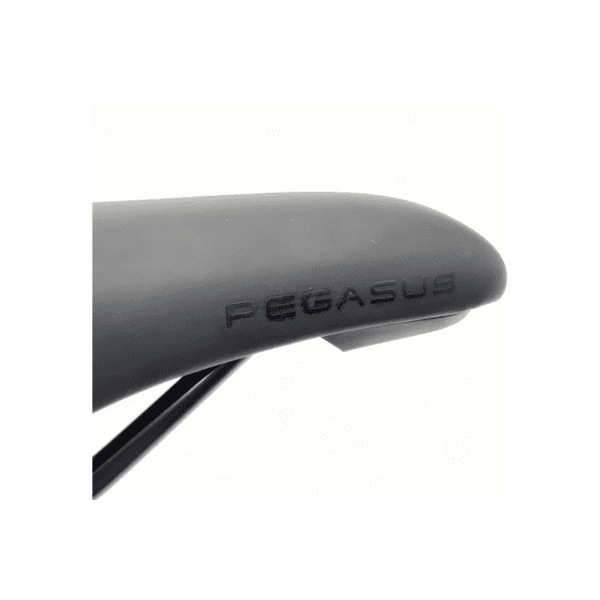 Dviračio balnas Pegasus VL-6582 unisex