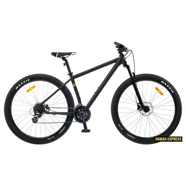 Dviratis 29  CLASSIC PRO 29+ 24s 29  black classic