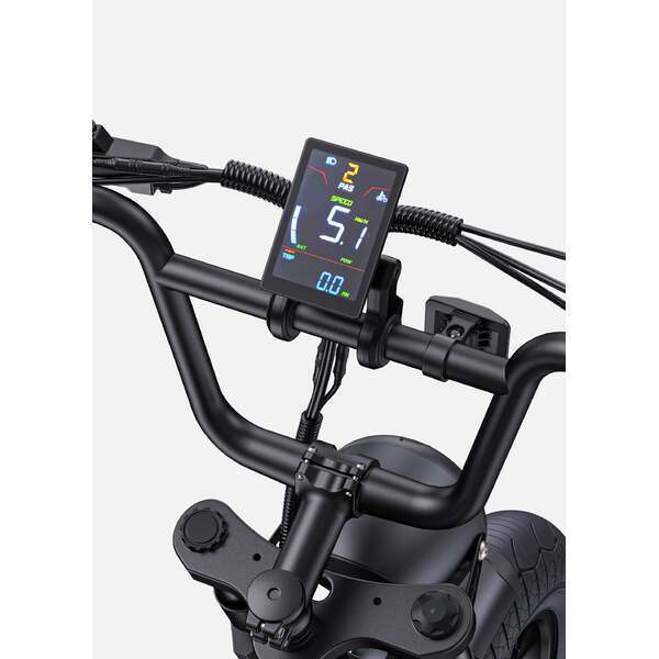 Dviratis 20" elektrinis Engwe M1 dviguba baterija juodas 