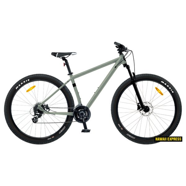 Dviratis 29  CLASSIC PRO 29+ 29  grey classic
