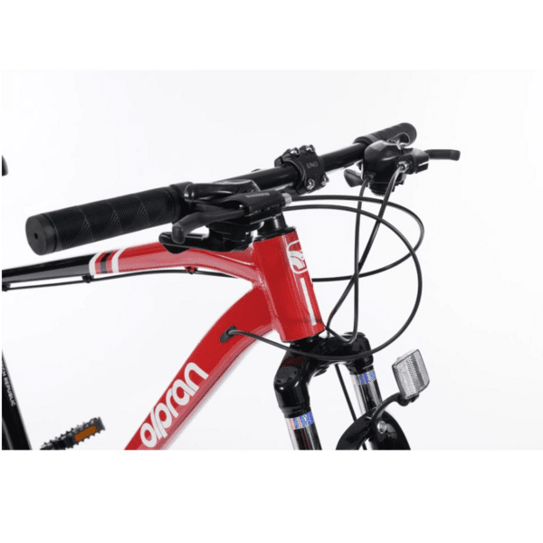 Dviratis 29 " Olpran ASTACUS vyr 19" juoda/raudona