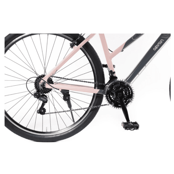 Dviratis 28"  Olpran  SALIX pilka/rožinė spalva 