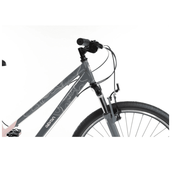 Dviratis 28"  Olpran  SALIX pilka/rožinė spalva 