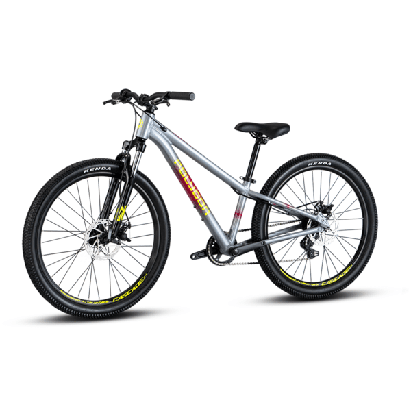 Bike 24" POLYGON CASCADE 24 GREY