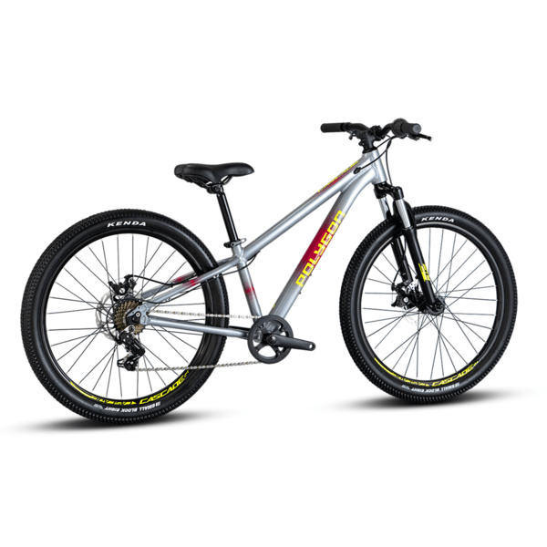 Bike 24" POLYGON CASCADE 24 GREY