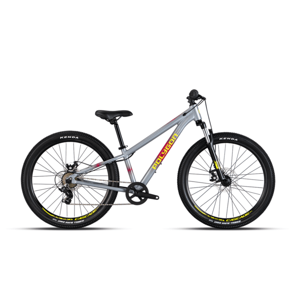 Bike 24" POLYGON CASCADE 24 GREY