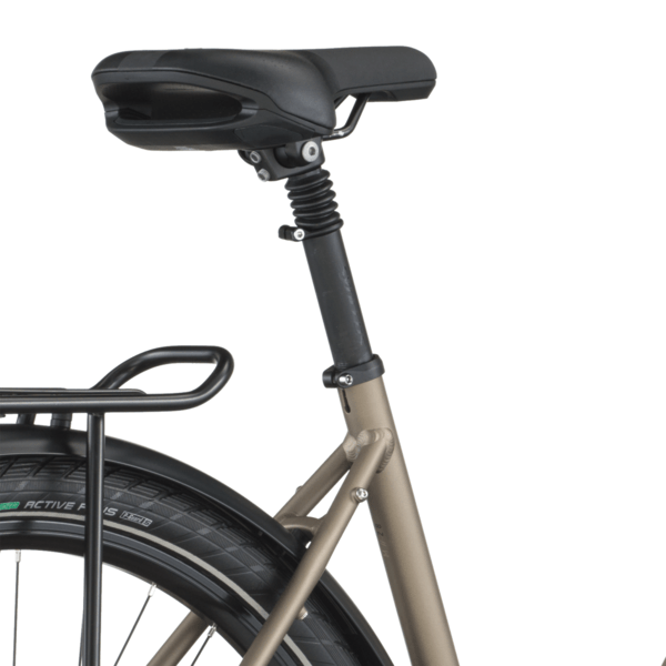 Dviratis 28  BERGAMONT VITESS 50 silver bergamont