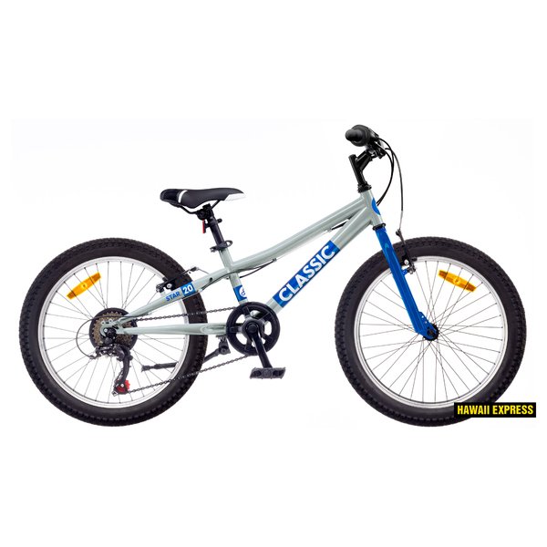 Dviratis 20  Classic STAR 20 BOY silver