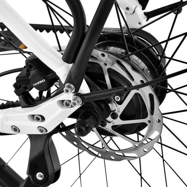 Dviratis elektrinis 28" Luna neo unisex baltas