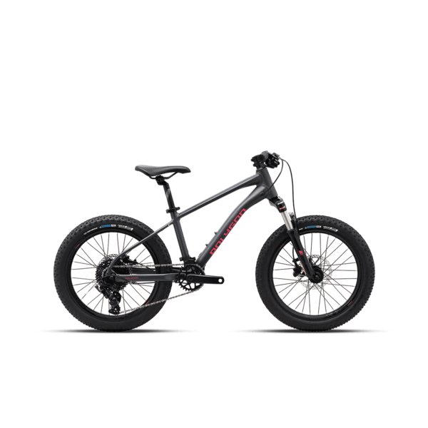 Bike 20" POLYGON XTRADA 20 CHARCOAL