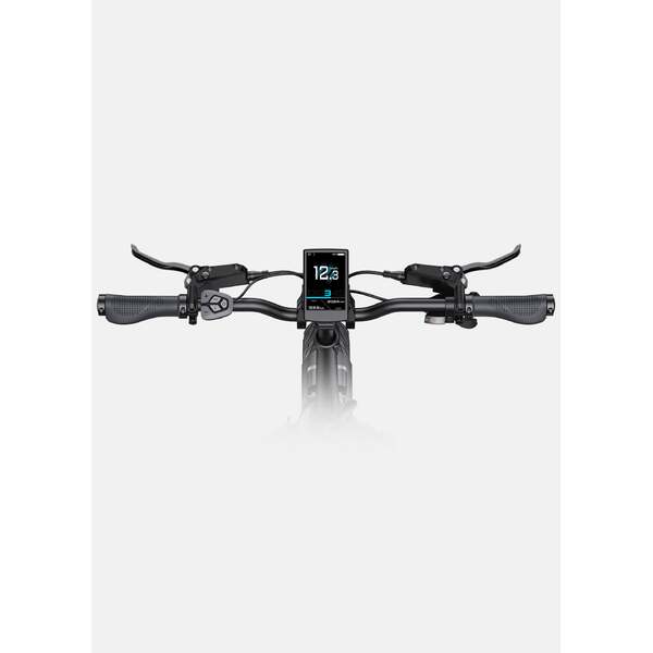 Dviratis 20  elektrinis sulankstomas Engwe L20 3.0 PRO 250w šampaninis