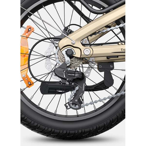 Dviratis 20  elektrinis sulankstomas Engwe L20 3.0 PRO 250w šampaninis