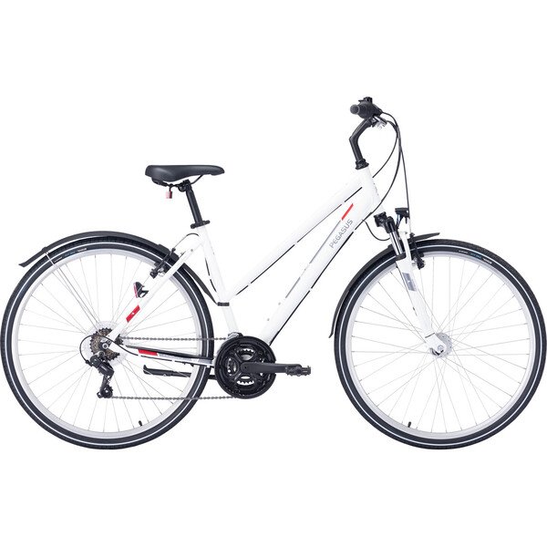 Dviratis 28" Pegasus Avanti Sport 18 trapez 18g baltas