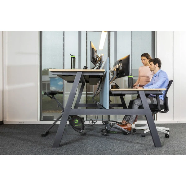 Mini dviratis TUNTURI Cardio Fit D10 Under Desk dviratis