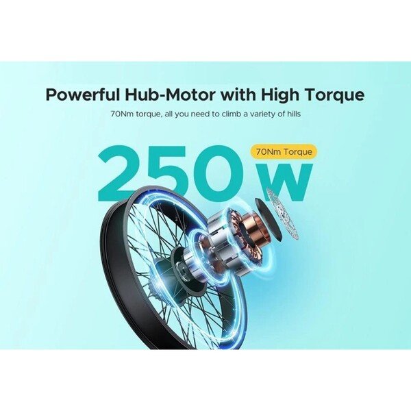 Dviratis 26" elektrinis Engwe E26 ST moteriškas juodas