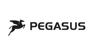 PEGASUS